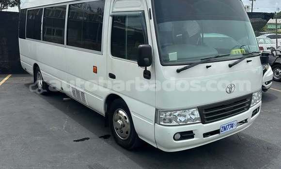Buy Used Toyota Coaster White Car in Greenland in Barbados Buy Used Toyota Coaster White Car in Greenland in Barbados