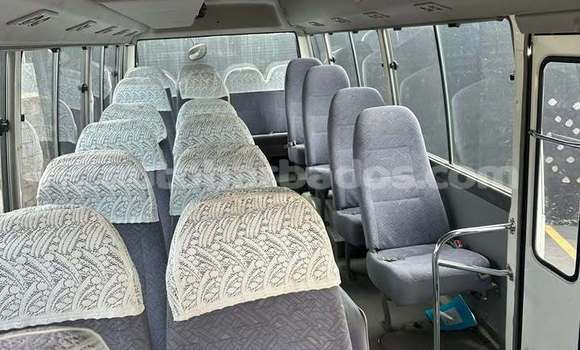 Buy Used Toyota Coaster White Car in Greenland in Barbados Buy Used Toyota Coaster White Car in Greenland in Barbados