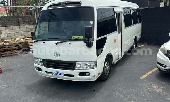 Buy Used Toyota Coaster White Car in Greenland in Barbados Buy Used Toyota Coaster White Car in Greenland in Barbados