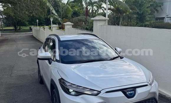 Buy Used Toyota Corolla Cross White Car in Bathsheba in Barbados
