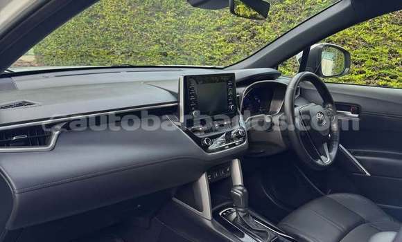 Buy Used Toyota Corolla Cross White Car in Bathsheba in Barbados Buy Used Toyota Corolla Cross White Car in Bathsheba in Barbados
