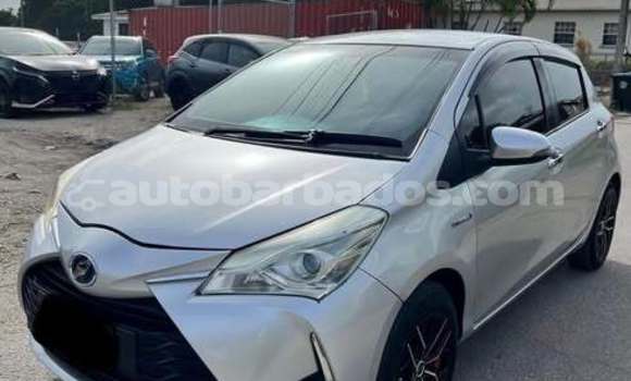 Buy Used Toyota Vitz Other Car in Bridgetown in Barbados Buy Used Toyota Vitz Other Car in Bridgetown in Barbados