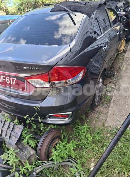 Big with watermark suzuki ciaz barbados crane 5065