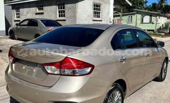 Buy Used Suzuki Ciaz Other Car in Bridgetown in Barbados Buy Used Suzuki Ciaz Other Car in Bridgetown in Barbados