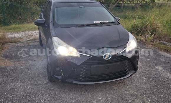Buy Used Toyota Vitz Other Car in Hillaby in Barbados