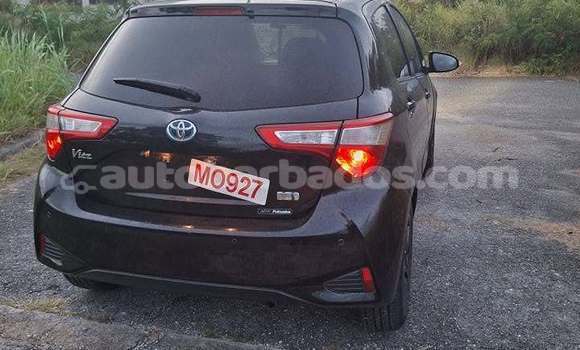 Buy Used Toyota Vitz Other Car in Hillaby in Barbados Buy Used Toyota Vitz Other Car in Hillaby in Barbados