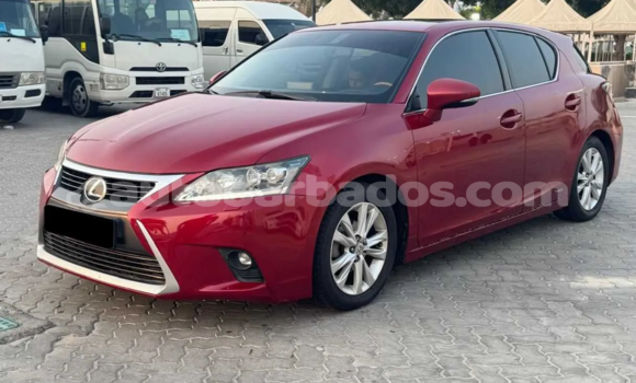 Buy Used Lexus CT Red Car in Bridgetown in Barbados