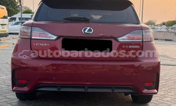 Buy Used Lexus CT Red Car in Bridgetown in Barbados Buy Used Lexus CT Red Car in Bridgetown in Barbados