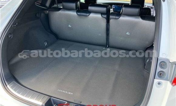 Buy Import Toyota Harrier White Car in Import - Dubai in Barbados Buy Import Toyota Harrier White Car in Import - Dubai in Barbados