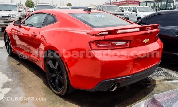 Buy Import Chevrolet Camaro Red Car in Import - Dubai in Barbados Buy Import Chevrolet Camaro Red Car in Import - Dubai in Barbados