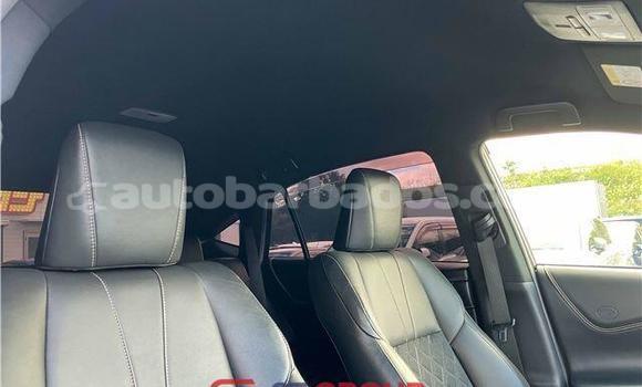 Buy Import Toyota Harrier White Car in Import - Dubai in Barbados Buy Import Toyota Harrier White Car in Import - Dubai in Barbados