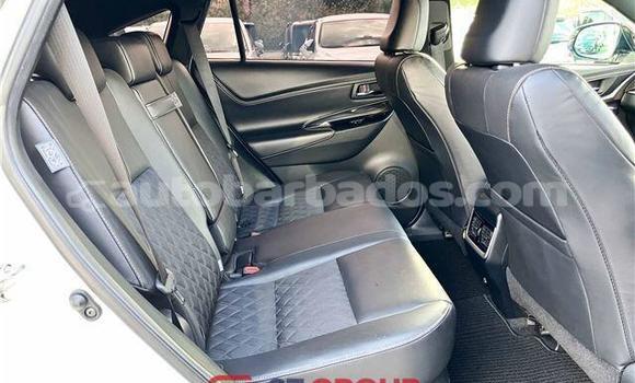 Buy Import Toyota Harrier White Car in Import - Dubai in Barbados Buy Import Toyota Harrier White Car in Import - Dubai in Barbados