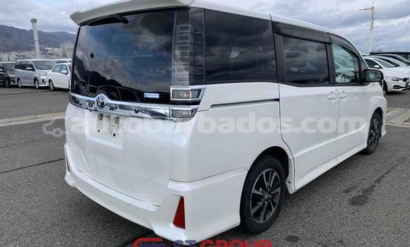 Buy Import Toyota Voxy White Car in Import - Dubai in Barbados Buy Import Toyota Voxy White Car in Import - Dubai in Barbados