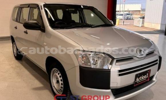 Buy Used Toyota Probox Silver Car in Import - Dubai in Barbados