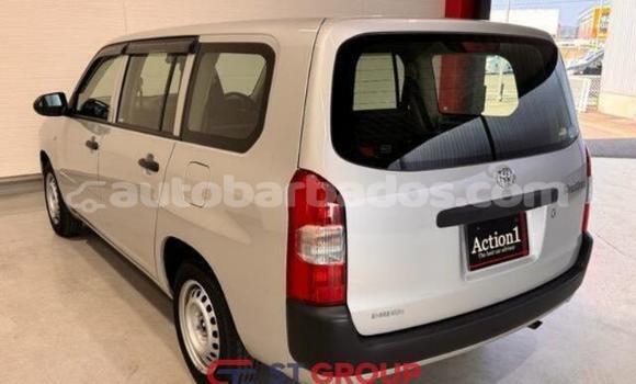 Buy Used Toyota Probox Silver Car in Import - Dubai in Barbados Buy Used Toyota Probox Silver Car in Import - Dubai in Barbados