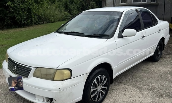Buy Used Nissan Sunny White Car in Bridgetown in Barbados