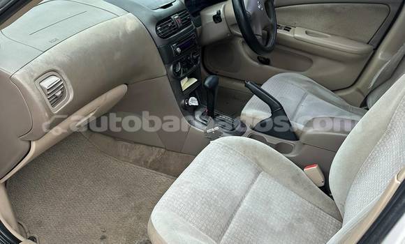 Buy Used Nissan Sunny White Car in Bridgetown in Barbados Buy Used Nissan Sunny White Car in Bridgetown in Barbados