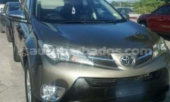 Buy Used Toyota RAV4 Other Car in Bridgetown in Barbados