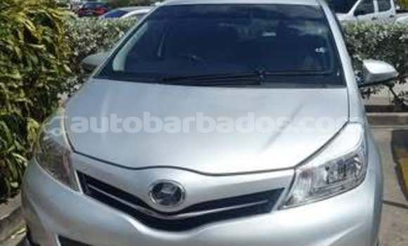 Buy Used Toyota Vitz Other Car in Bridgetown in Barbados