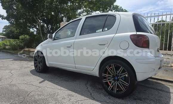 Buy Used Toyota Vitz Other Car in Bridgetown in Barbados