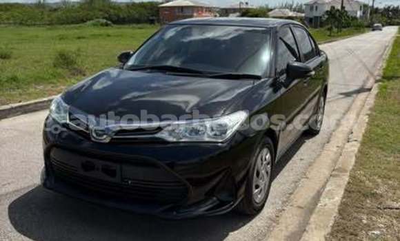 Buy Used Toyota Axio Other Car in Bridgetown in Barbados