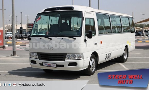 Buy Import Toyota Coaster White Car in Import - Dubai in Barbados Buy Import Toyota Coaster White Car in Import - Dubai in Barbados