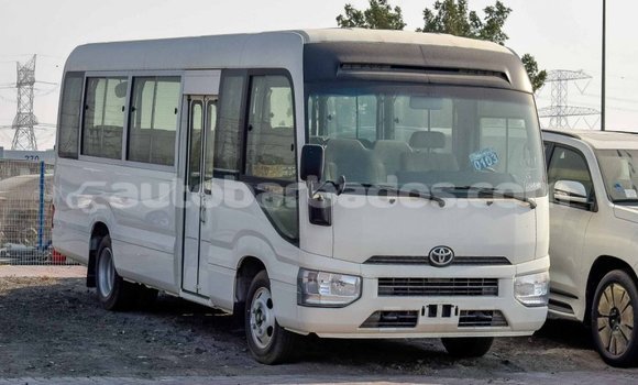 Buy Import Toyota Coaster White Car in Import - Dubai in Barbados Buy Import Toyota Coaster White Car in Import - Dubai in Barbados