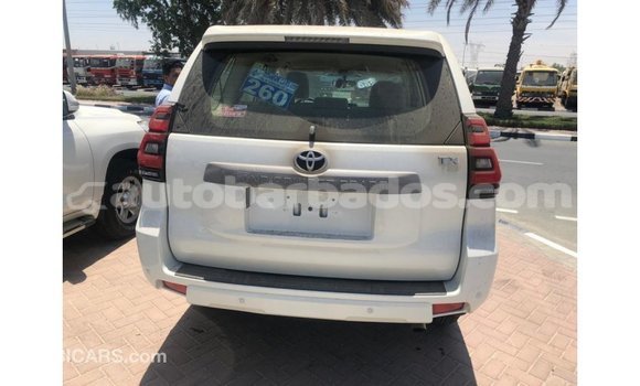 Buy Import Toyota Prado White Car in Import - Dubai in Barbados Buy Import Toyota Prado White Car in Import - Dubai in Barbados