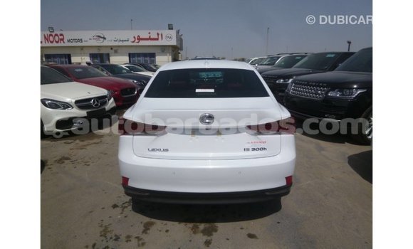 Buy Import Lexus IS White Car in Import - Dubai in Barbados Buy Import Lexus IS White Car in Import - Dubai in Barbados