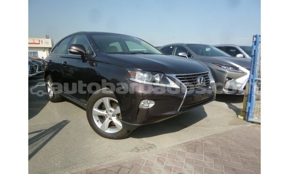 Buy Import Lexus RX Brown Car in Import - Dubai in Barbados Buy Import Lexus RX Brown Car in Import - Dubai in Barbados