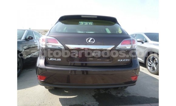 Buy Import Lexus RX Brown Car in Import - Dubai in Barbados Buy Import Lexus RX Brown Car in Import - Dubai in Barbados