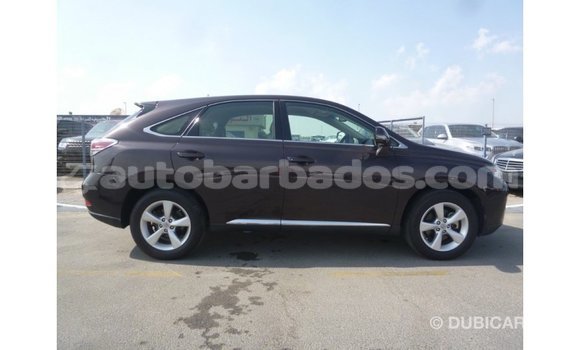 Buy Import Lexus RX Brown Car in Import - Dubai in Barbados Buy Import Lexus RX Brown Car in Import - Dubai in Barbados