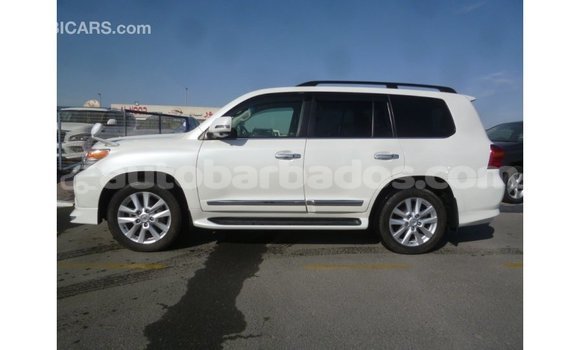 Buy Import Toyota Land Cruiser White Car in Import - Dubai in Barbados Buy Import Toyota Land Cruiser White Car in Import - Dubai in Barbados