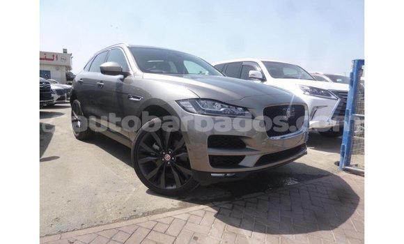 Buy Import Jaguar F-Pace Other Car in Import - Dubai in Barbados