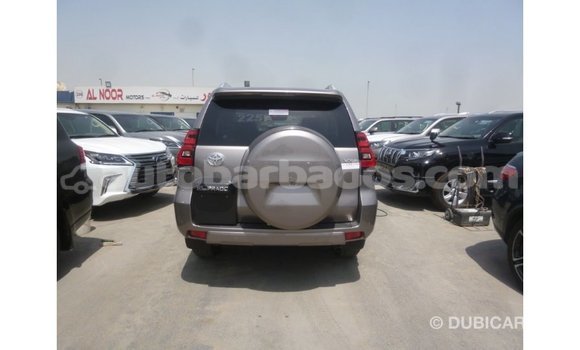 Buy Import Toyota Prado Brown Car in Import - Dubai in Barbados Buy Import Toyota Prado Brown Car in Import - Dubai in Barbados