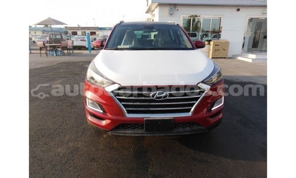 Buy Import Hyundai Tucson Red Car in Import - Dubai in Barbados Buy Import Hyundai Tucson Red Car in Import - Dubai in Barbados