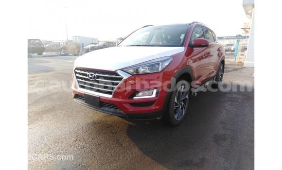 Buy Import Hyundai Tucson Red Car in Import - Dubai in Barbados Buy Import Hyundai Tucson Red Car in Import - Dubai in Barbados