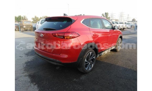 Buy Import Hyundai Tucson Red Car in Import - Dubai in Barbados Buy Import Hyundai Tucson Red Car in Import - Dubai in Barbados