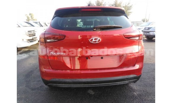 Buy Import Hyundai Tucson Red Car in Import - Dubai in Barbados Buy Import Hyundai Tucson Red Car in Import - Dubai in Barbados