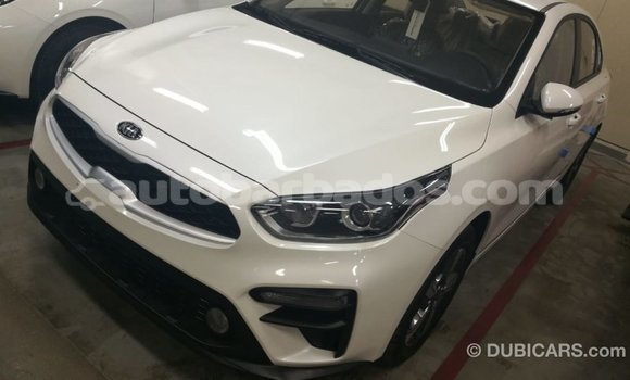 Buy Import Kia Cerato White Car in Import - Dubai in Barbados Buy Import Kia Cerato White Car in Import - Dubai in Barbados