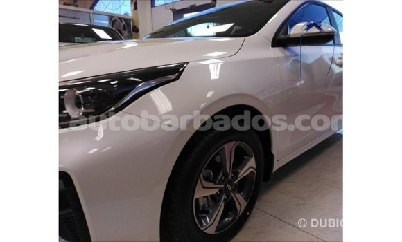 Buy Import Kia Cerato White Car in Import - Dubai in Barbados Buy Import Kia Cerato White Car in Import - Dubai in Barbados