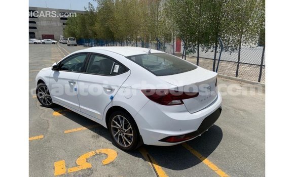 Buy Import Hyundai Elantra White Car in Import - Dubai in Barbados Buy Import Hyundai Elantra White Car in Import - Dubai in Barbados