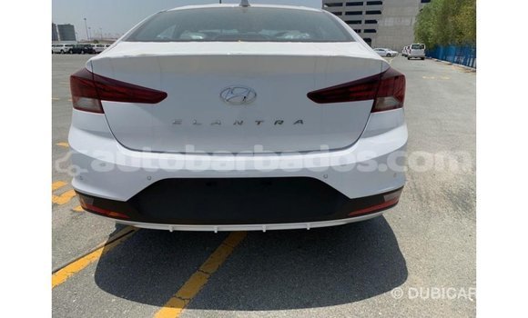 Buy Import Hyundai Elantra White Car in Import - Dubai in Barbados Buy Import Hyundai Elantra White Car in Import - Dubai in Barbados