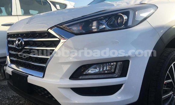 Buy Import Hyundai Tucson White Car in Import - Dubai in Barbados Buy Import Hyundai Tucson White Car in Import - Dubai in Barbados