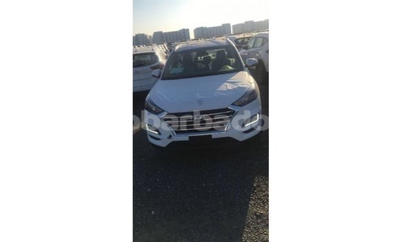 Buy Import Hyundai Tucson White Car in Import - Dubai in Barbados Buy Import Hyundai Tucson White Car in Import - Dubai in Barbados