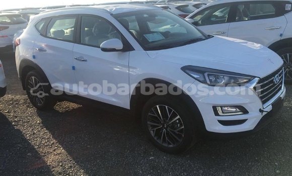 Buy Import Hyundai Tucson White Car in Import - Dubai in Barbados Buy Import Hyundai Tucson White Car in Import - Dubai in Barbados