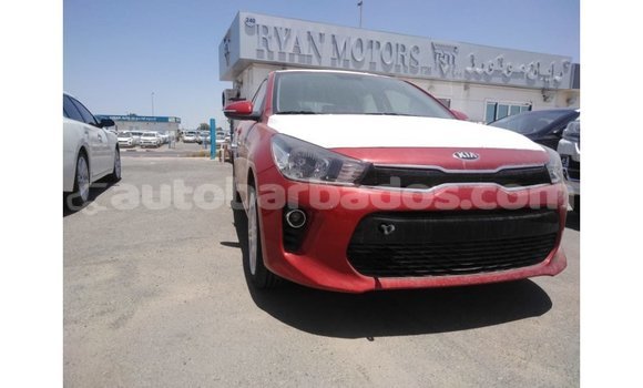 Buy Import Kia Rio Red Car in Import - Dubai in Barbados