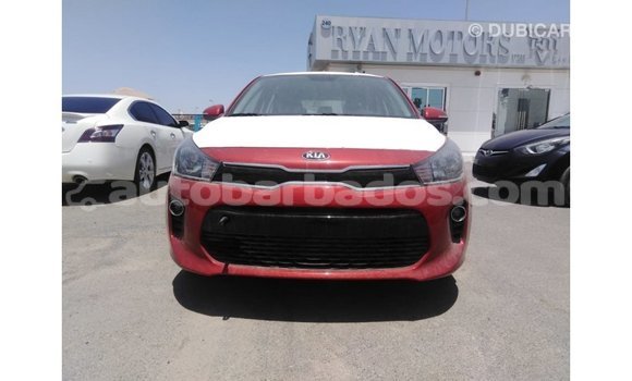 Buy Import Kia Rio Red Car in Import - Dubai in Barbados Buy Import Kia Rio Red Car in Import - Dubai in Barbados