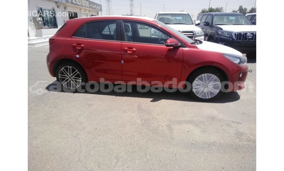 Buy Import Kia Rio Red Car in Import - Dubai in Barbados Buy Import Kia Rio Red Car in Import - Dubai in Barbados