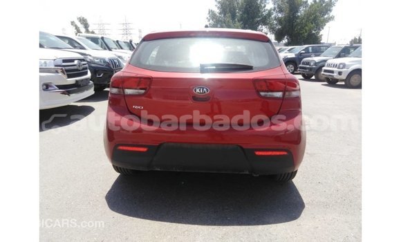 Buy Import Kia Rio Red Car in Import - Dubai in Barbados Buy Import Kia Rio Red Car in Import - Dubai in Barbados
